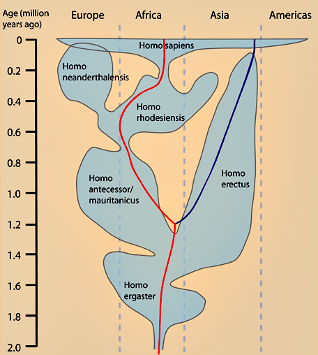 Human distribution over the world