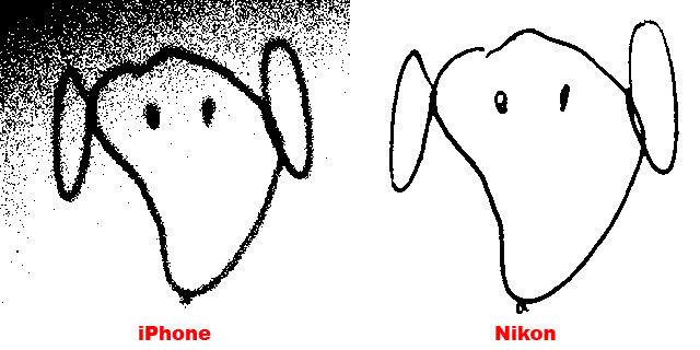iPhone vs. Nikon sample