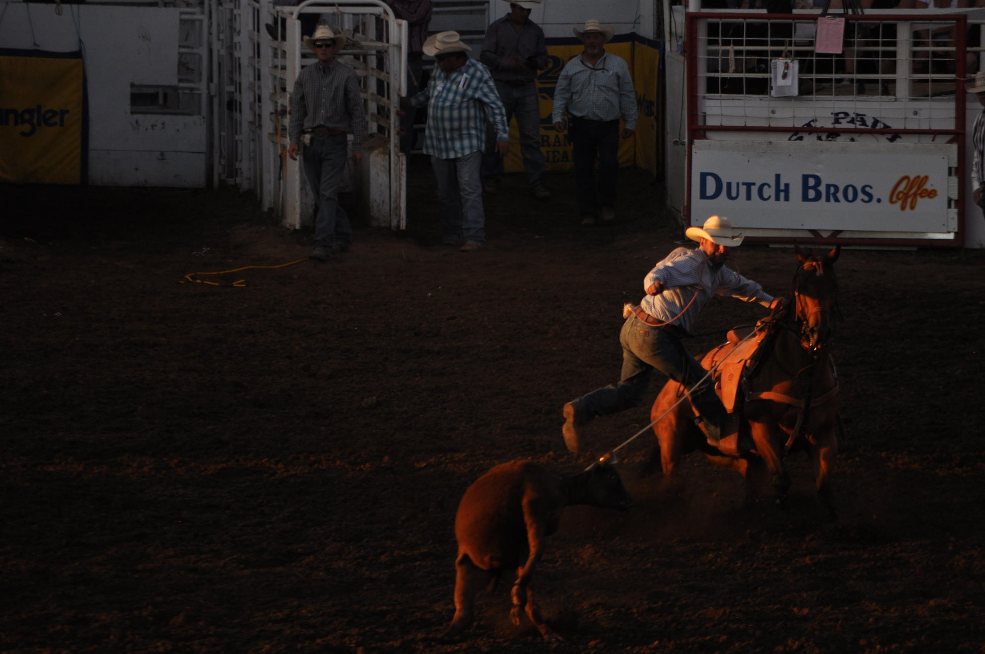 Cowboy jumps from horse