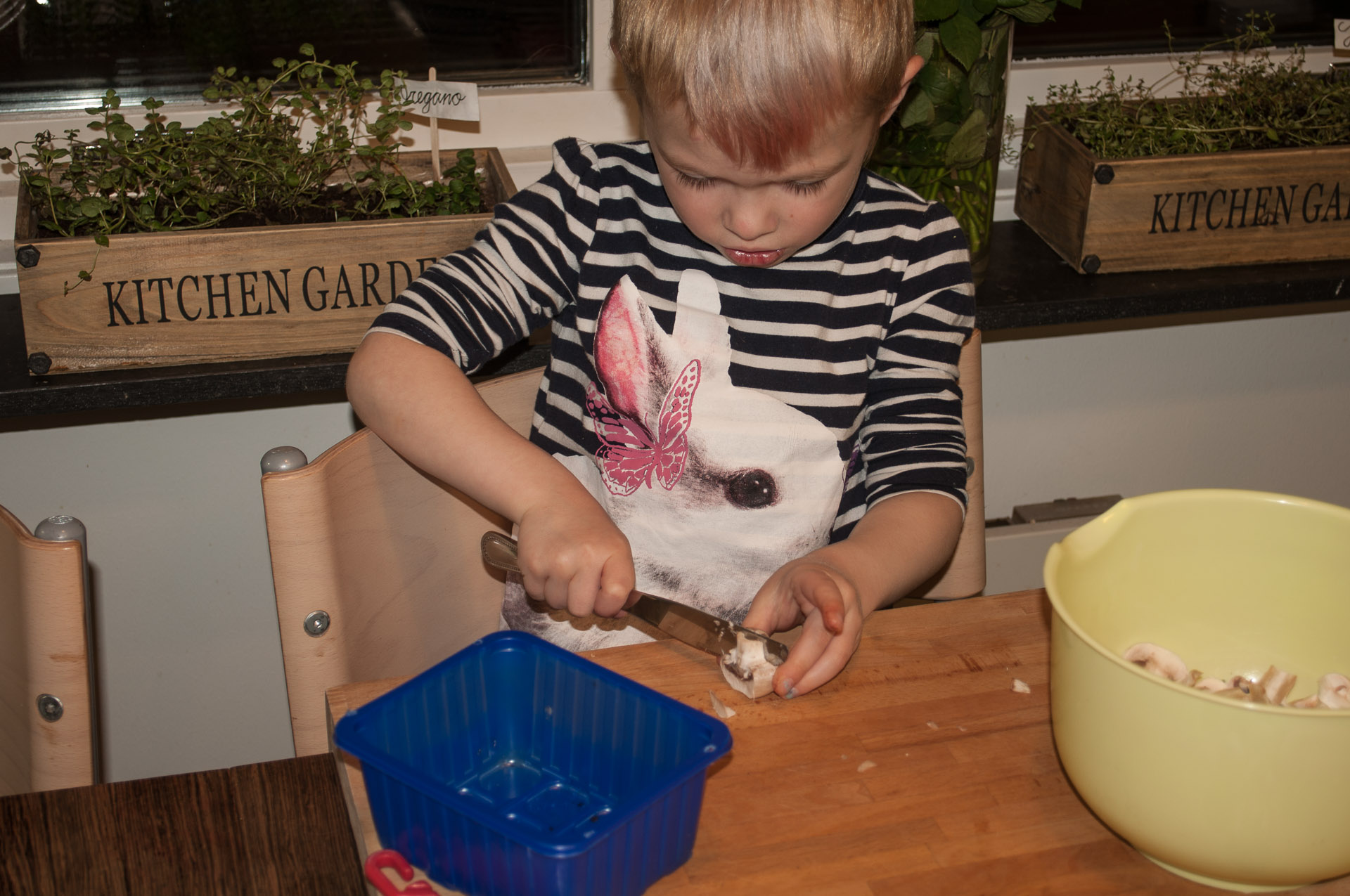 Boy cutting champignon