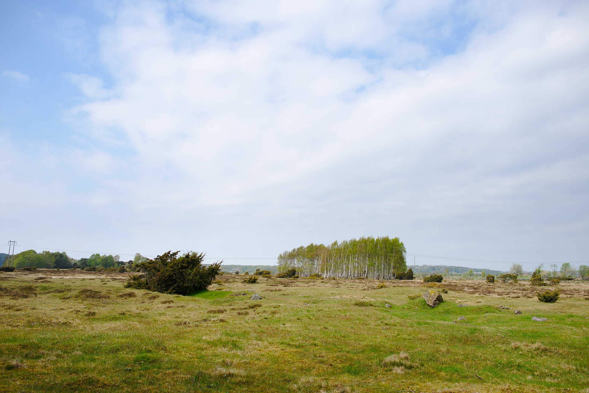 Varberg landscape