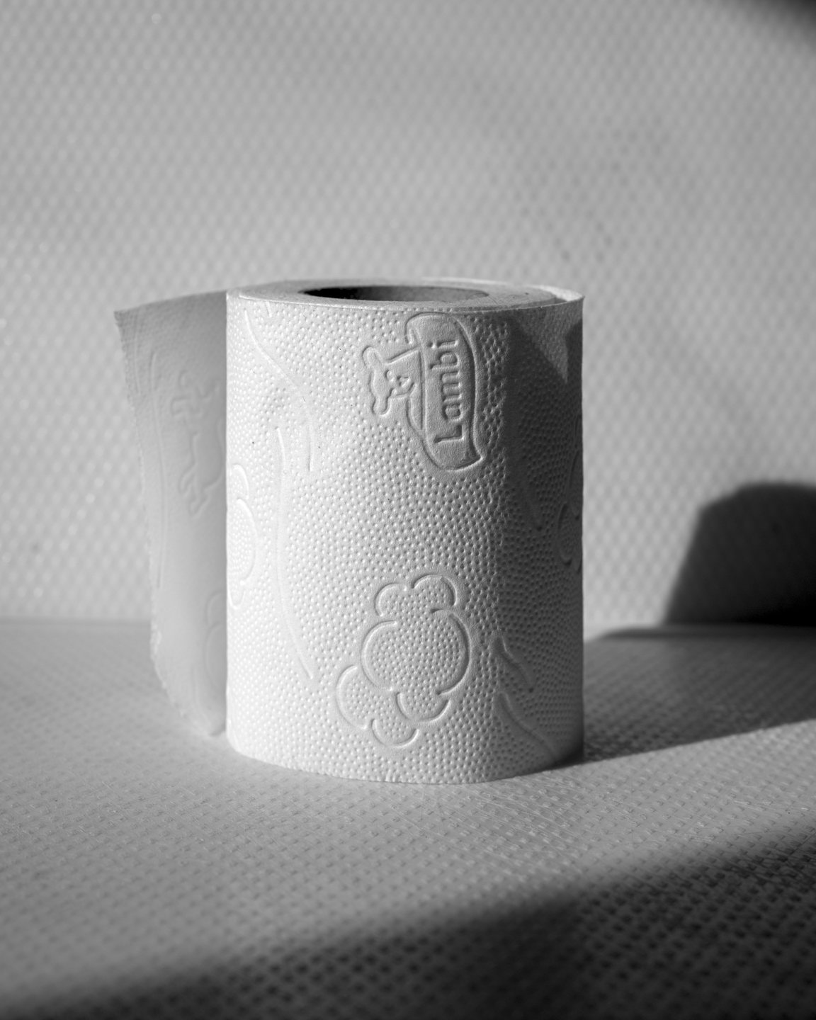 Toilet paper 01