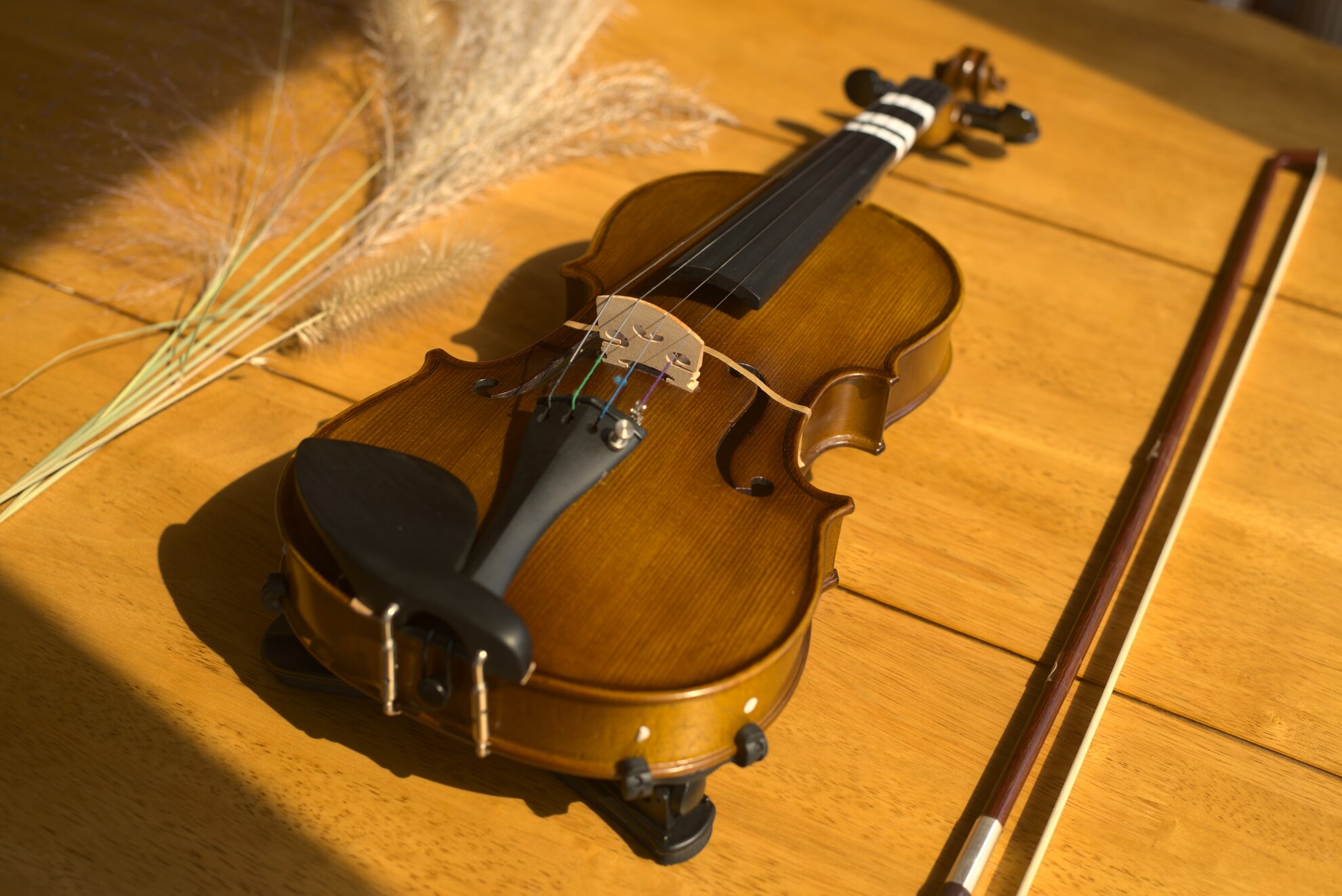 Kaylees violin